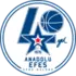 Anadolu Efes Istanbul